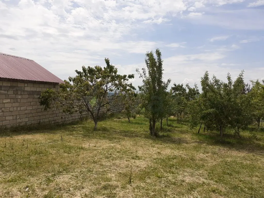 6 sot Torpaq Satılır, Oğuz — Torpaq, Oğuz (9)
