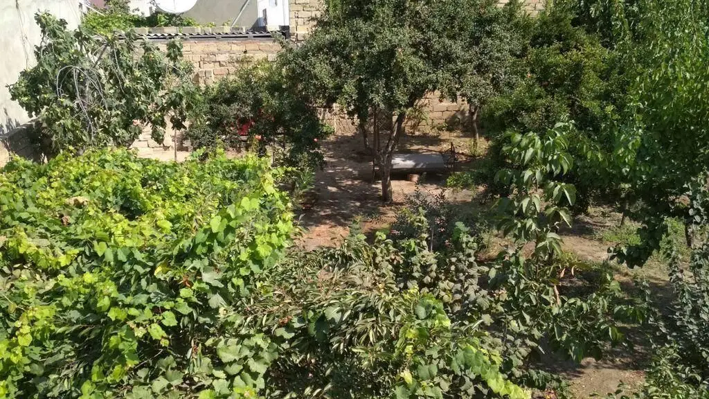 3 sot Torpaq Satılır, Xırdalan — Torpaq, Xırdalan (10)