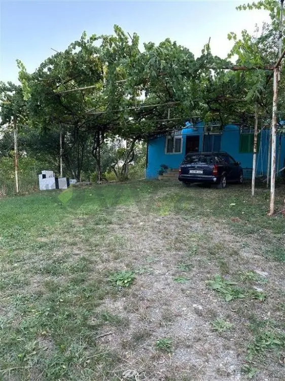 22 sot Torpaq Satılır, Şabran — Torpaq, Şabran (6)