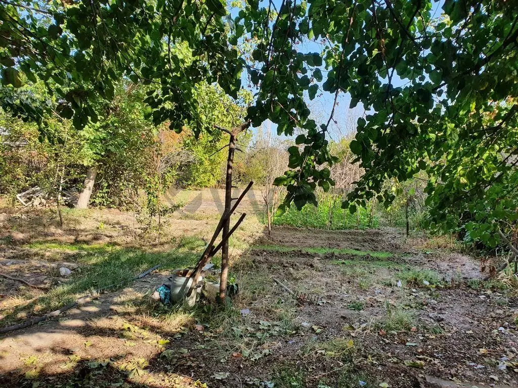 6 sot Torpaq Satılır, Mingəçevir — Torpaq, Mingəçevir (2)