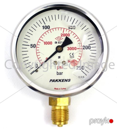 Manometr gliserin dolğulu (0-250 Bar 100 mm 1/2") Pakkens 1001001114 — Bakı