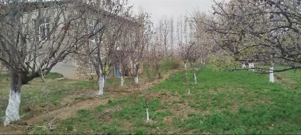 4 otaqlı Həyət evi Satılır, Naxçıvan MR