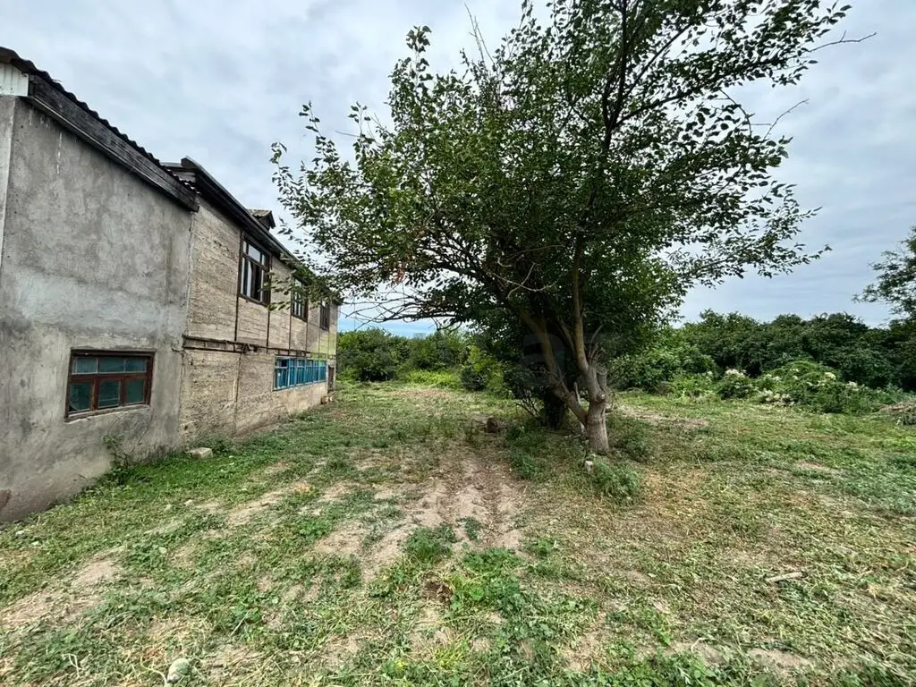 24 sot Torpaq Satılır, Xaçmaz — Torpaq, Xaçmaz (12)