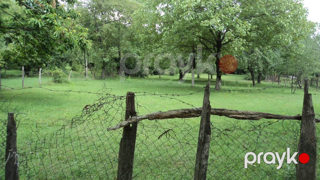 17 sot, Tikinti, Mülkiyyətçi, Kupça (Çıxarış) — Torpaq, Qəbələ (3)