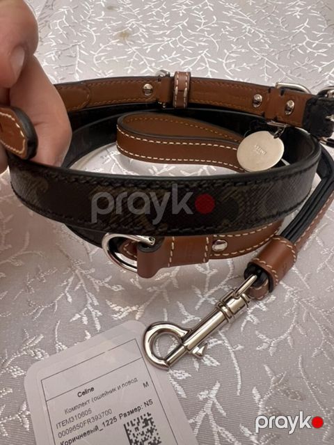 Orijinal Celine Triomphe it dizaynlı it üçün qoşqu və zəncir dəsti — Bakı