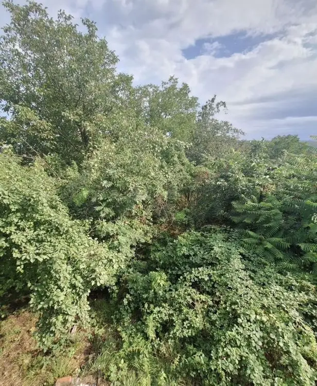 8 sot Torpaq Satılır, Qusar — Torpaq, Qusar (3)