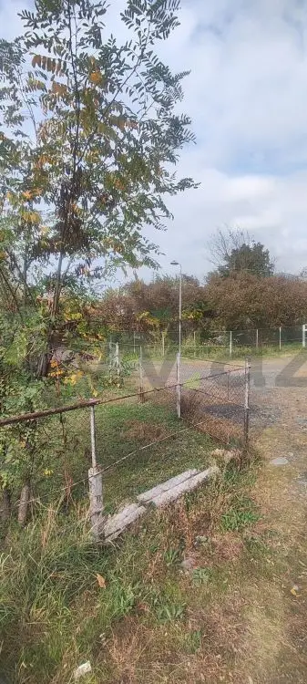 18 sot Torpaq Satılır, Balakən — Torpaq, Balakən (10)