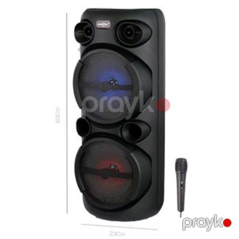 Peşəkar Brodu BTS-2370 Rəqəmsal Portativ Akustik Sistem — Bakı
