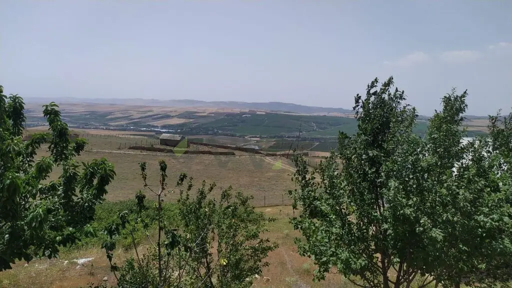 10 sot Torpaq Satılır, Şamaxı — Torpaq, Şamaxı (3)