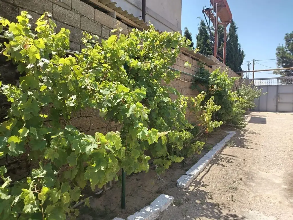4 otaqlı Həyət evi Satılır, Zirə, Xəzər, Bakı — Ev, villa, Bakı (7)