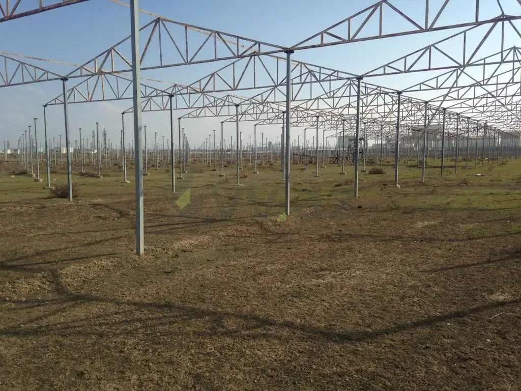 120 sot Torpaq Satılır, Novxanı, Abşeron — Torpaq (2)