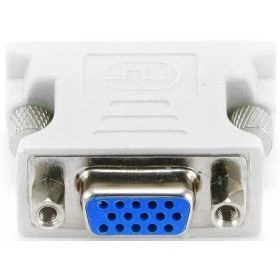 Dvı (m) to vga(f) — Bakı