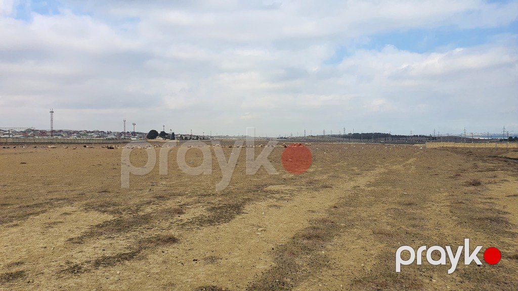 Satılır torpaq 360 sot — Torpaq, Bakı (3)