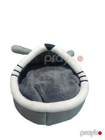 Taxt pişiklər və itlər üçün P-012 — Bakı