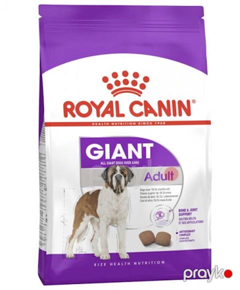 Quru yem Royal Canin Giant Adult çox iri cinslər üçün 18/24 aya qədər 15 kq — Bakı