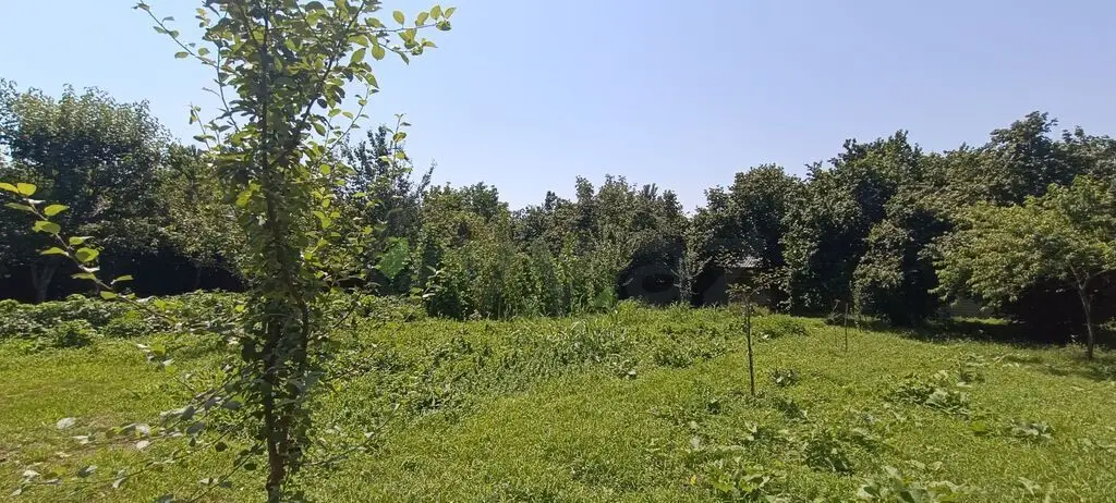 15 sot Torpaq Satılır, Qəbələ — Torpaq, Qəbələ (2)