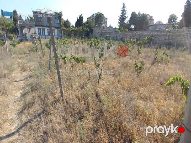 Satılır Torpaq sahəsi, 27 sot, Novxanı — Torpaq, Abşeron (5)