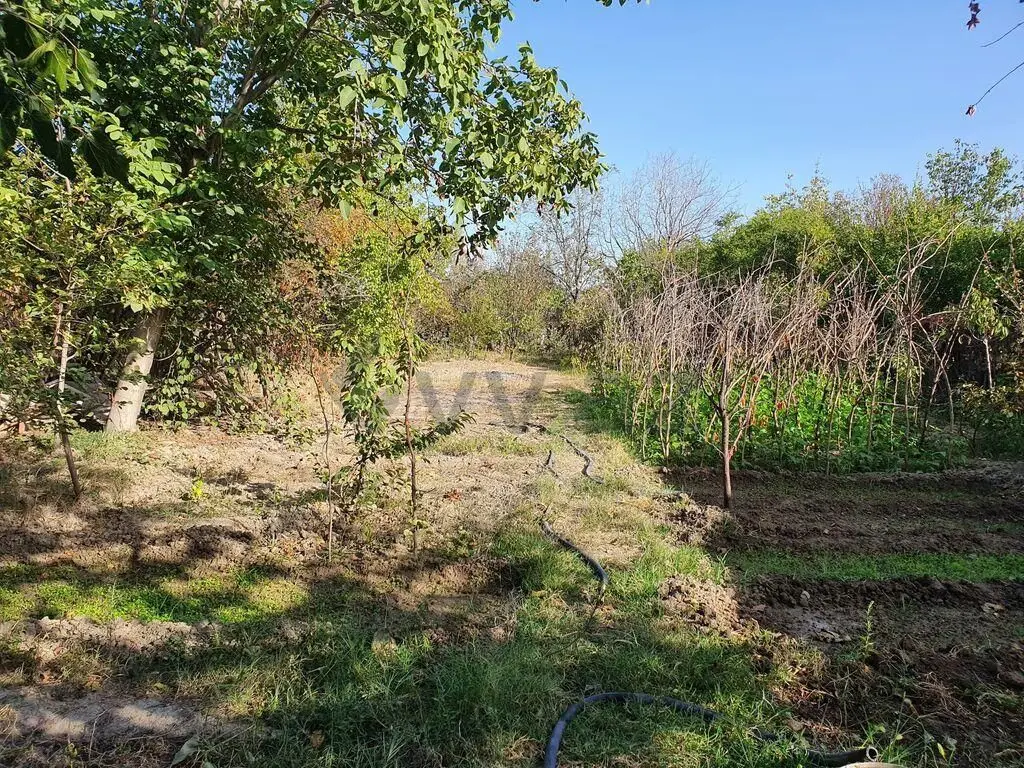 6 sot Torpaq Satılır, Mingəçevir — Torpaq, Mingəçevir (4)