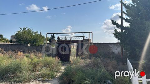 Xəzər rayonunda qala qəsəbəsində qala-şüvəlan yolu yaxınlığında 40 — Bakı