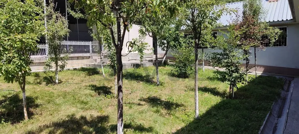 3 otaqlı Həyət evi Kirayə (günlük), Şəki — Ev, villa, Şəki (9)