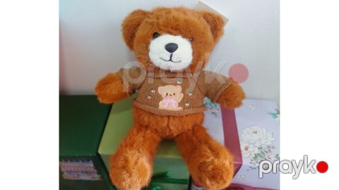 Yumşaq oyuncaq Teddy köynəkli, peluş, 33 sm, qəhvəyi — Bakı