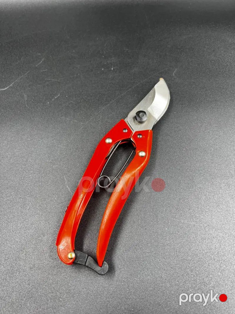 Bağ budama qayçısı metal — Mallar, Bakı (3)