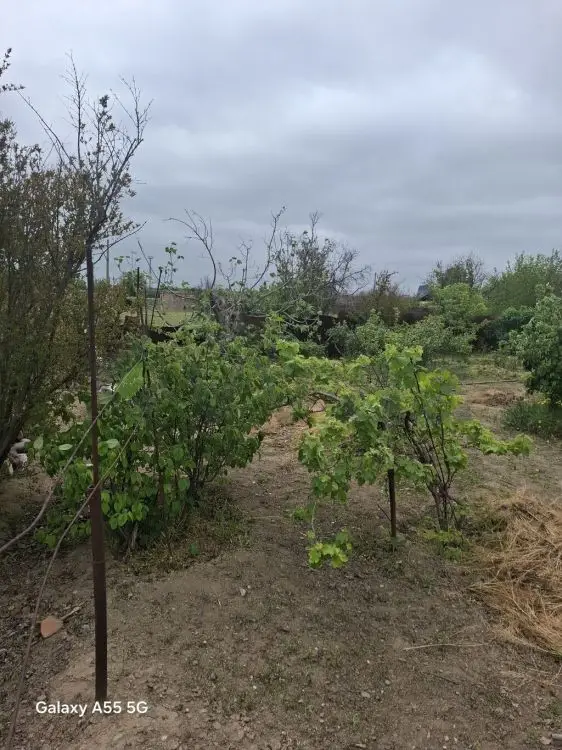 2 otaqlı Həyət evi Satılır, Gəncə — Ev, villa, Gəncə (6)