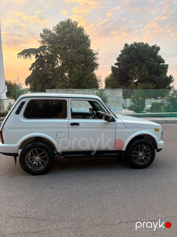 Lada (VAZ) Niva, 1.7 L, 2013 il, 110 000 km — Avtomobillər, Gəncə (10)