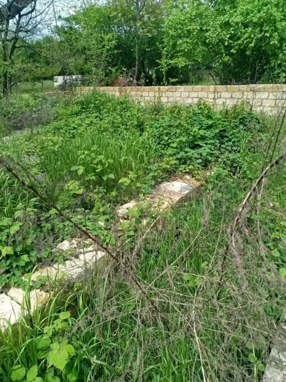 3 sot Torpaq Satılır, Qəbələ — Torpaq, Qəbələ (4)