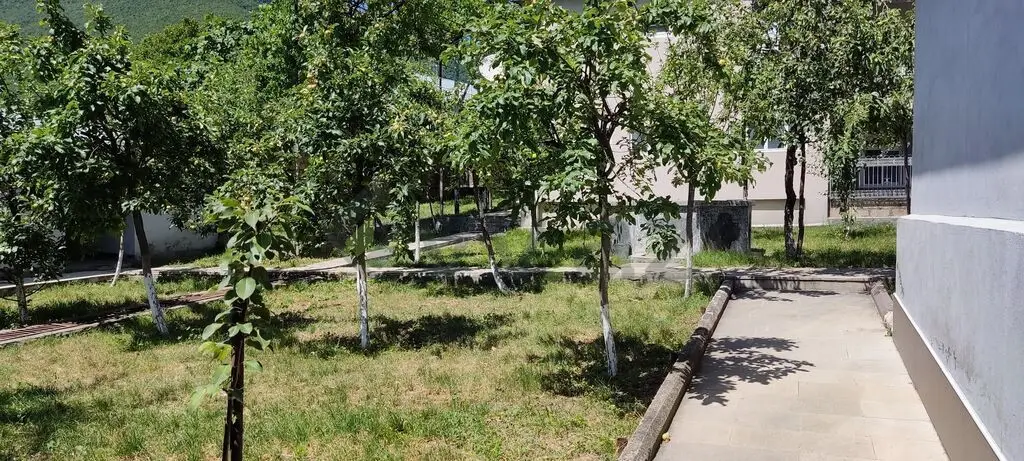 3 otaqlı Həyət evi Kirayə (günlük), Şəki — Ev, villa, Şəki (7)