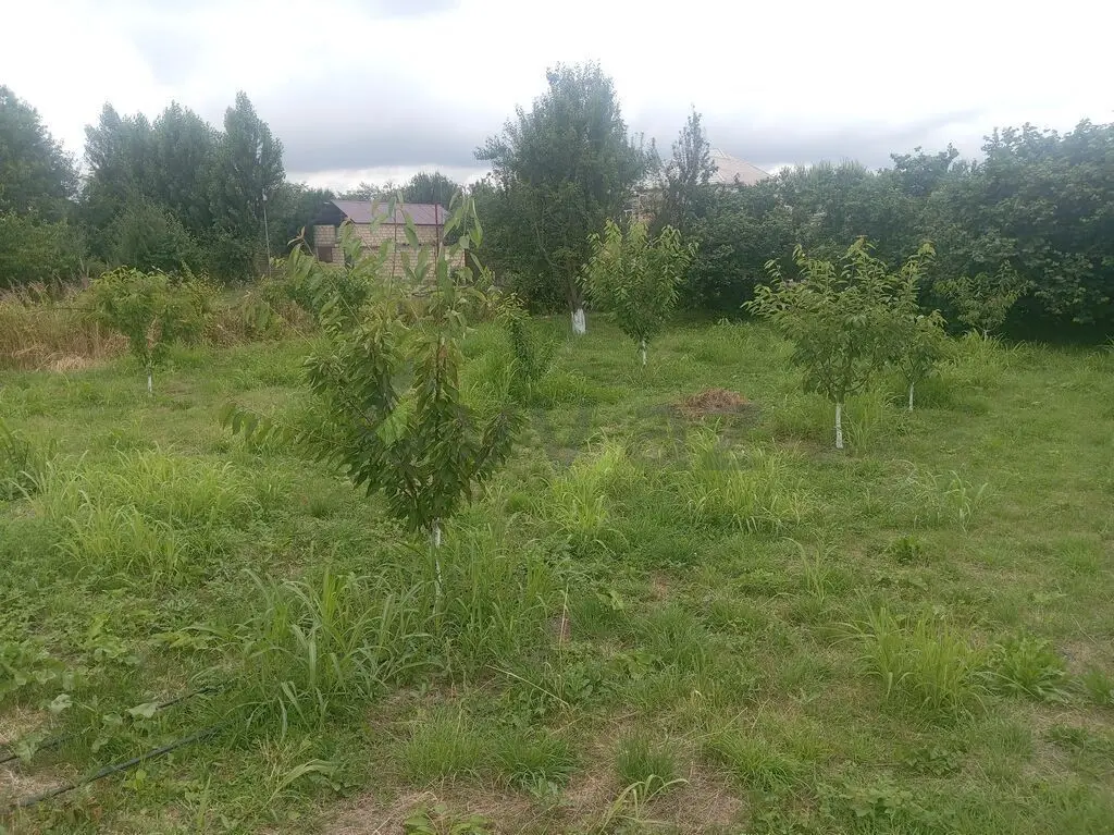 10 sot Torpaq Satılır, Quba — Quba