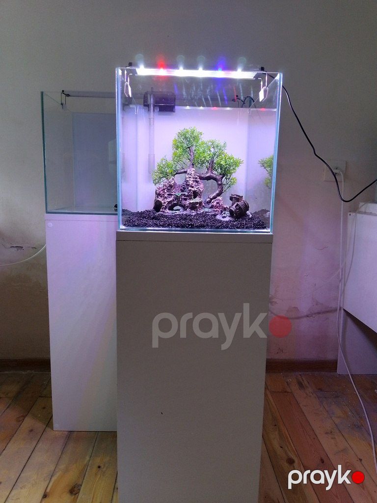 Akvarium və altlığı — Akvariumlar və balıqlar, Bakı (4)
