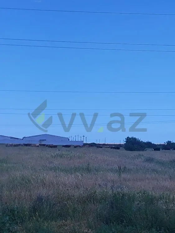 350 sot Torpaq Satılır, Xızı — Torpaq, Xızı (2)