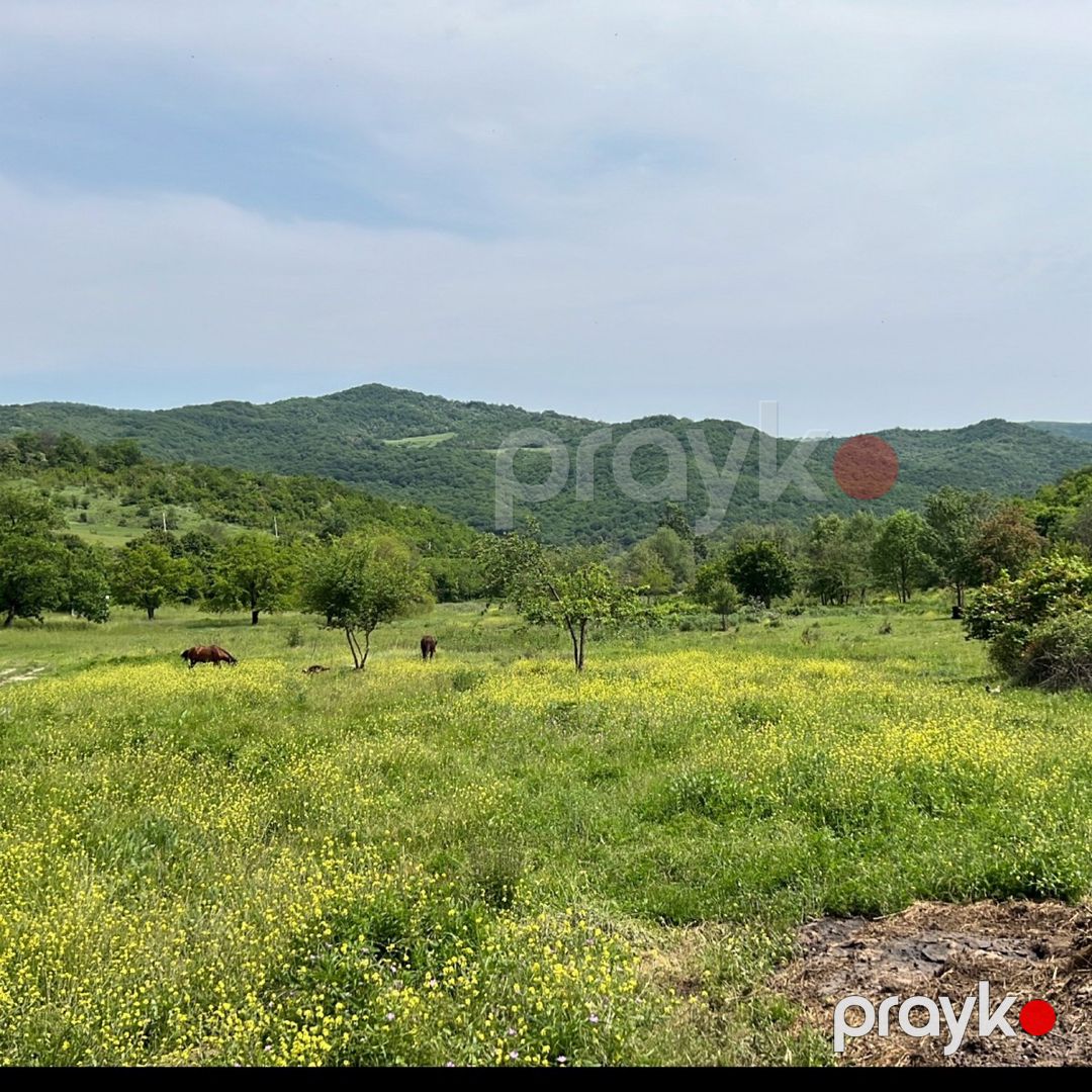 1050 sot torpaq sahəsi, Şamaxı r — Torpaq, Şamaxı (7)