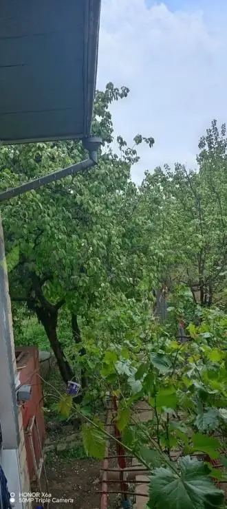 4 otaqlı Həyət evi Satılır, Şamaxı — Ev, villa, Şamaxı (11)