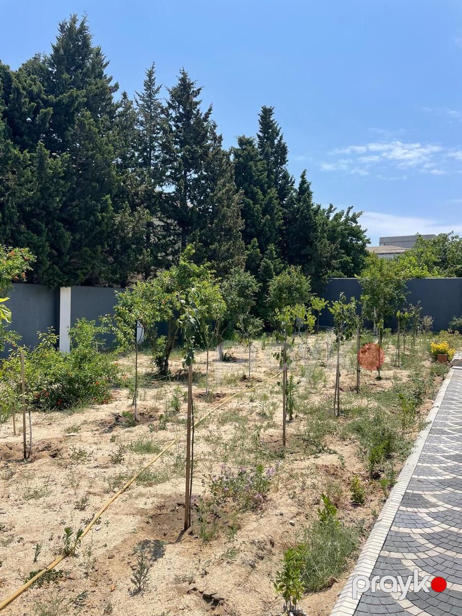 Satılır 4 otaqlı həyət evi/bağ evi 150 m² — Ev, villa, Bakı (6)