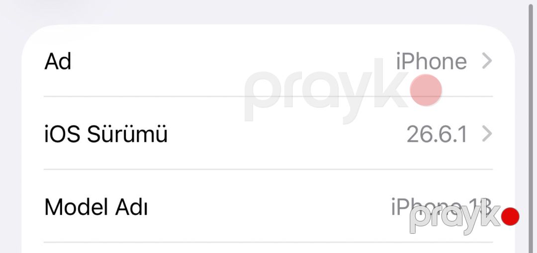 Apple iPhone 13 Pink 128GB/4GB — Smartfonlar, Bakı (5)