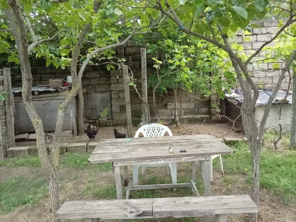 5 sot Torpaq Satılır, Novxanı, Abşeron — Torpaq (4)