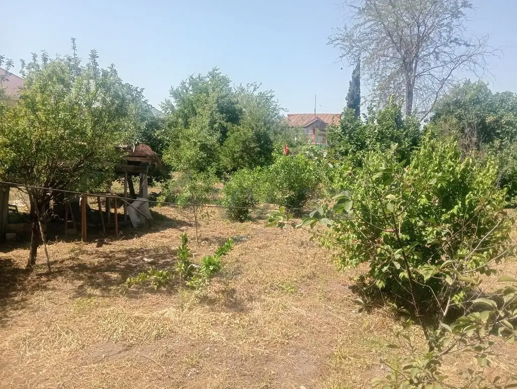 10 sot Torpaq Satılır, Bərdə — Torpaq, Bərdə (5)