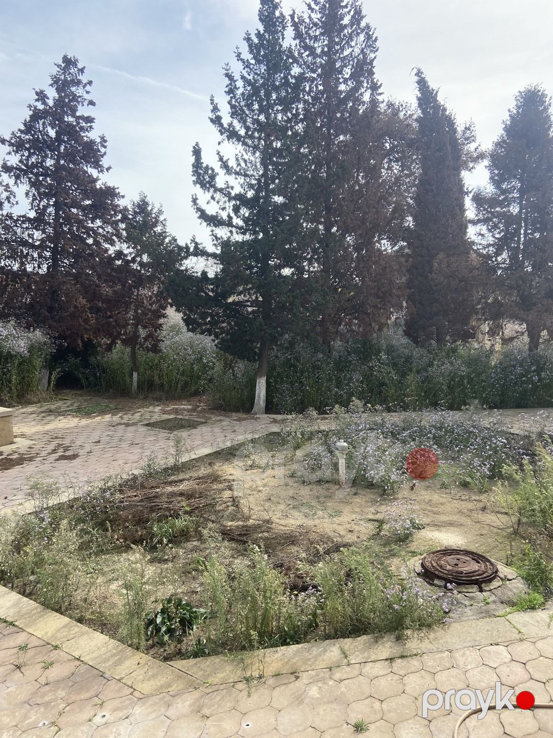 Satılır torpaq 9 sot — Torpaq, Bakı (2)