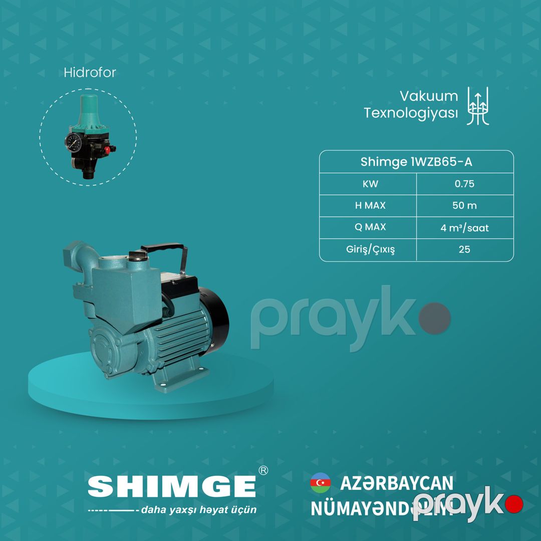 Elektrik nasos Shimge 1WZB65-A_1147 — Mallar, Bakı (3)