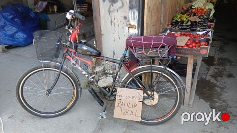 994/773290321 — Bakı