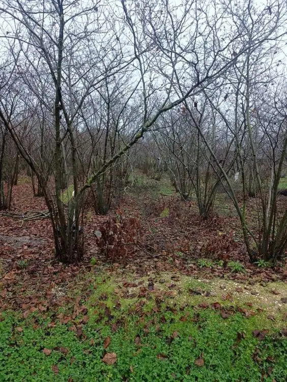 3 otaqlı Yarım tikili Satılır, Xaçmaz — Ev, villa, Xaçmaz (4)