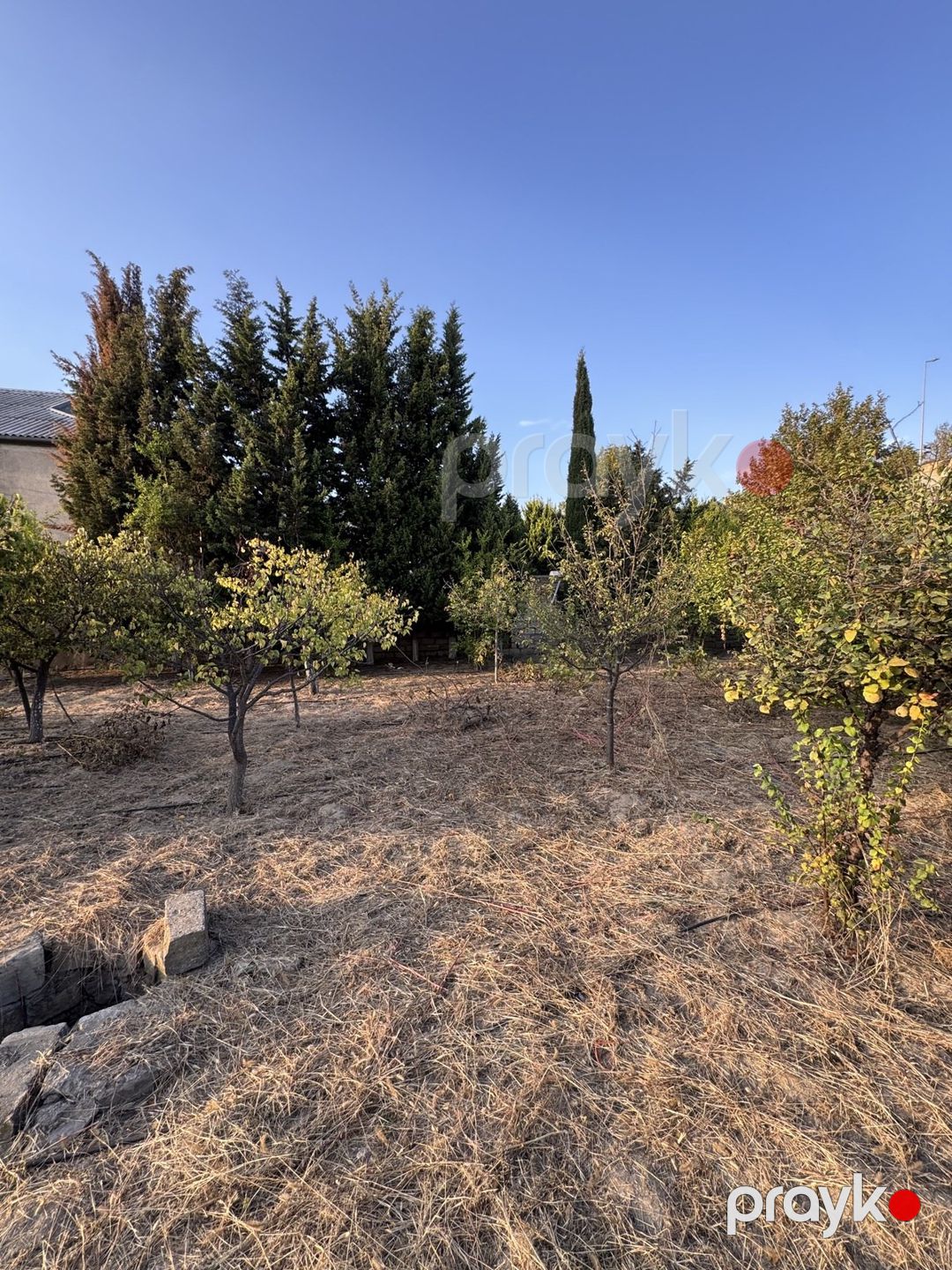 Satılır torpaq 2 sot — Torpaq, Bakı (5)