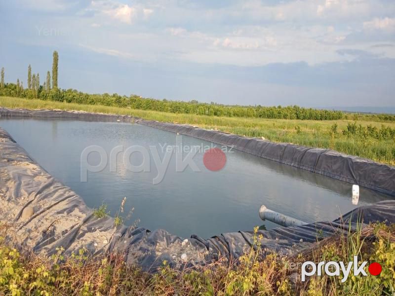 Satılır Torpaq sahəsi, 373 sot, Quba — Torpaq, Quba (6)