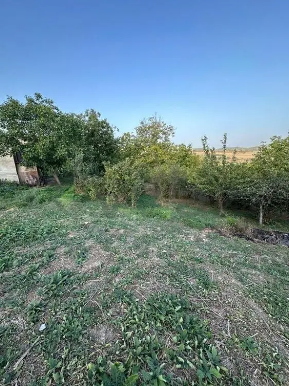 22 sot Torpaq Satılır, Şabran — Torpaq, Şabran (2)