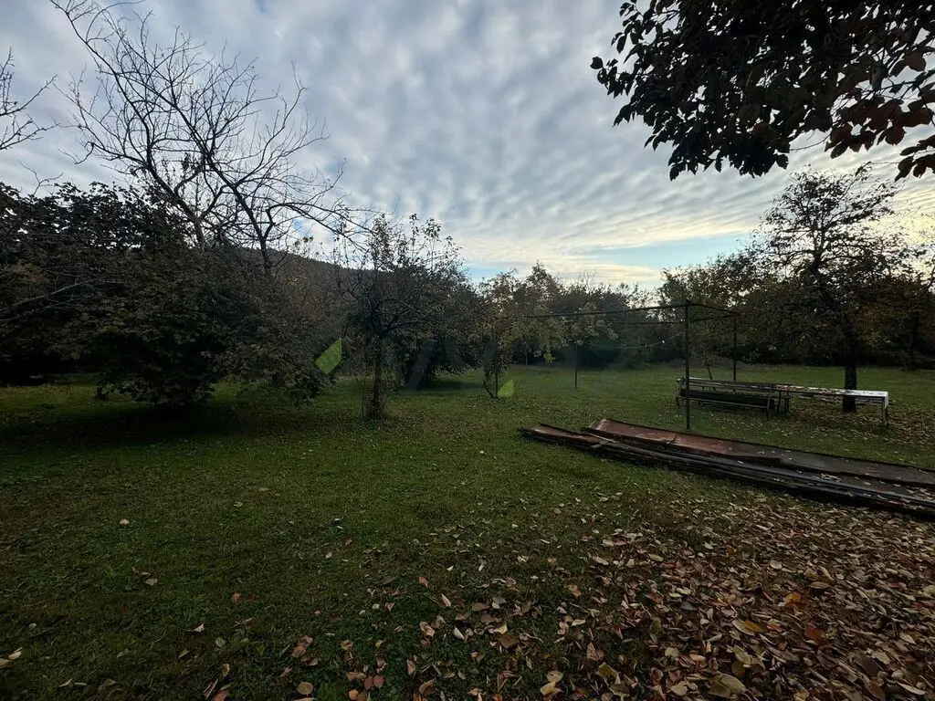 10 sot Torpaq Satılır, Zaqatala — Torpaq, Zaqatala (8)