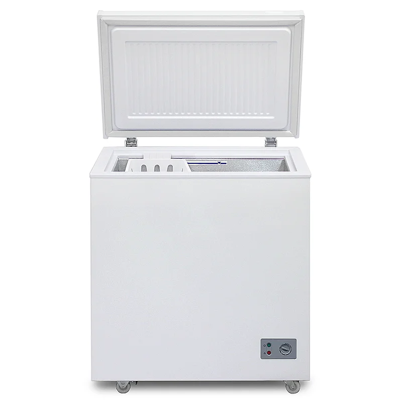 Dondurucu Biryusa 155KX — Dondurma kamerası, Bakı (3)