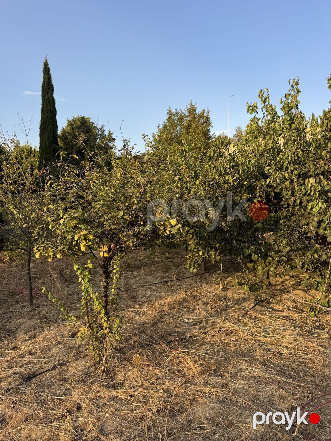 Satılır torpaq 2 sot — Torpaq, Bakı (2)