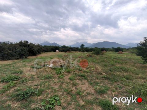 Satılır torpaq 250 sot — Qəbələ